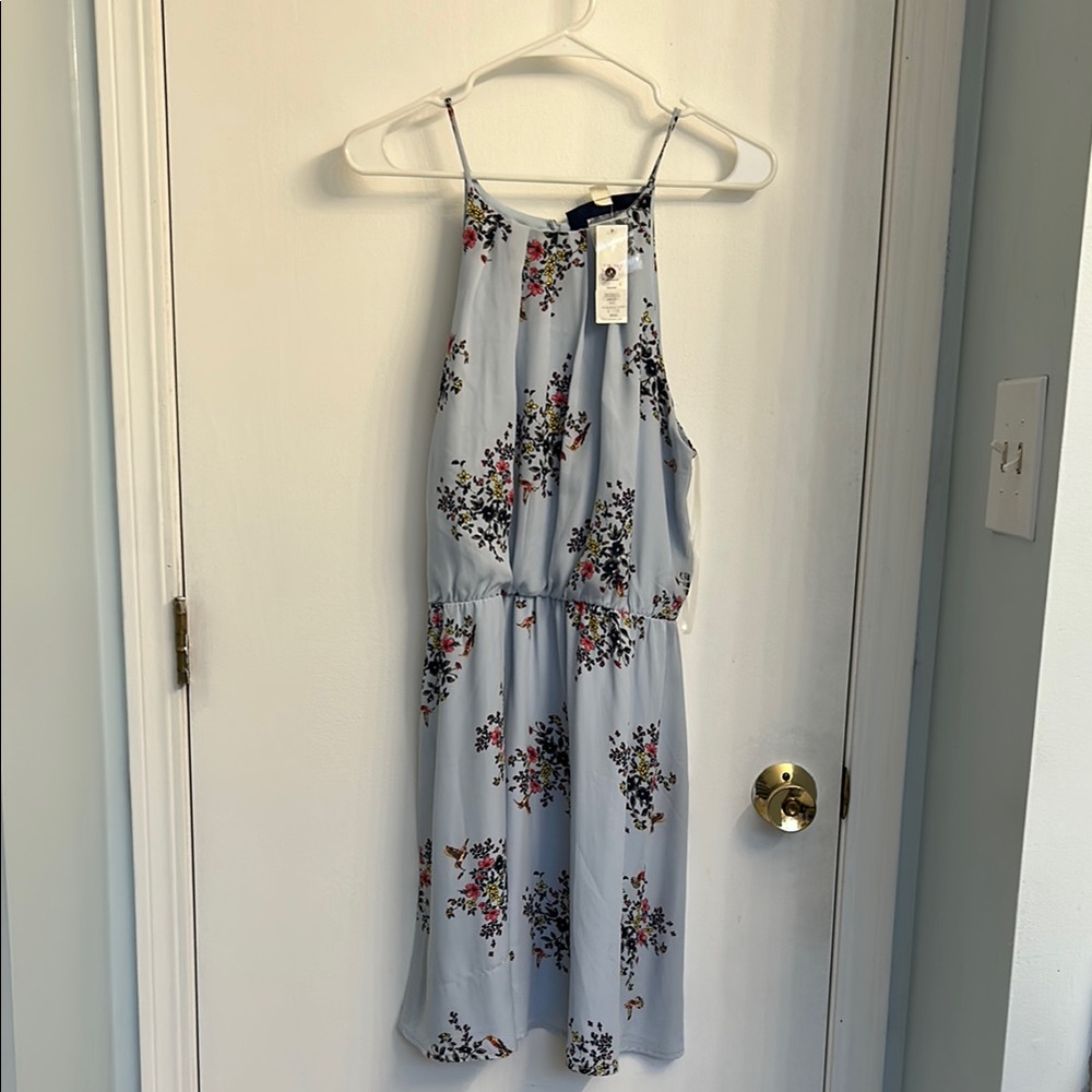 NWT Francesca’s Blue Floral Dress